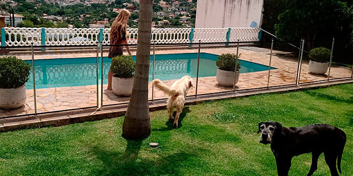 Cercas para proteção para cachorro