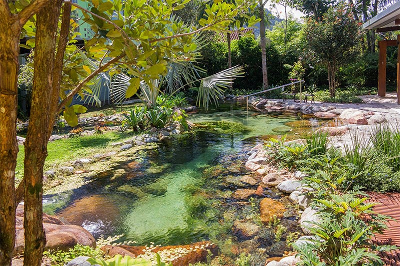 Piscina natural