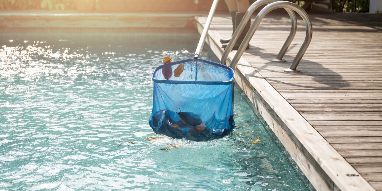 Rato Morto na Piscina