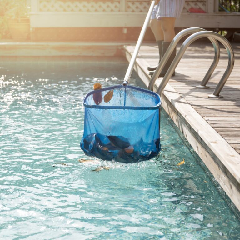 Rato Morto na Piscina