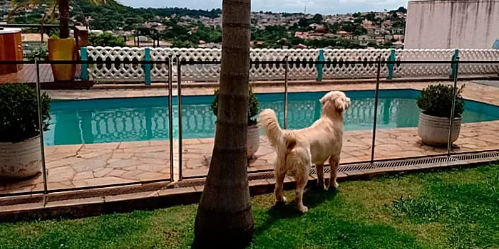 cerca de proteção para pet